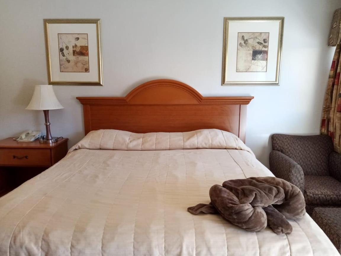 Hotel Posada Del Desierto Heroica Caborca ภายนอก รูปภาพ